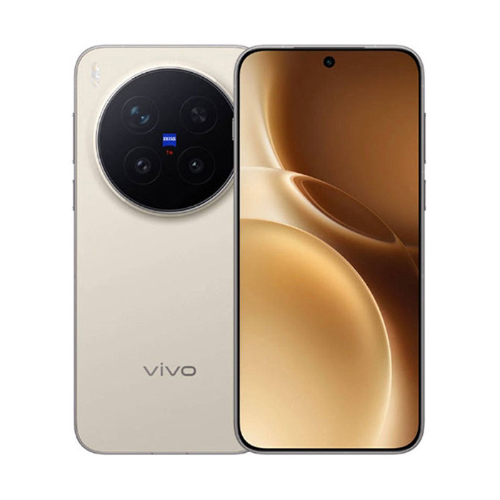 vivo X300